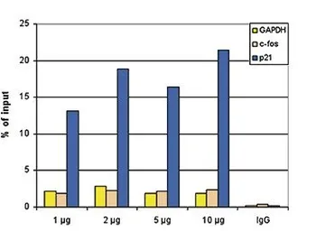 Anti-HDAC3 antibody [GT9007] used in ChIP assay (ChIP assay). GTX60366