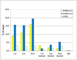 Anti-Histone H3K36me2 (Di-methyl Lys36) antibody - ChIP grade used in ChIP assay (ChIP assay). GTX60372