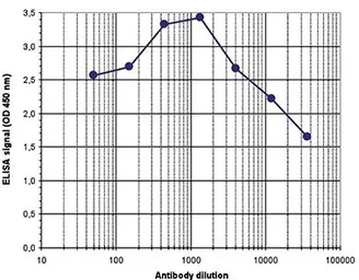 Anti-Histone H3K36me2 (Di-methyl Lys36) antibody - ChIP grade used in ELISA (ELISA). GTX60372