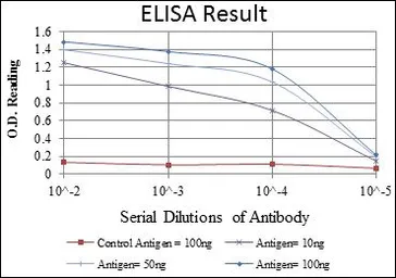 Anti-Glucocorticoid Receptor antibody [6E6] used in ELISA (ELISA). GTX60389