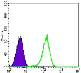 Anti-Glucocorticoid Receptor antibody [6E6] used in Flow cytometry (FCM). GTX60389