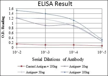 Anti-Aurora A antibody [1F8] used in ELISA (ELISA). GTX60391