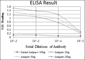 Anti-Aurora A antibody [4G10] used in ELISA (ELISA). GTX60392