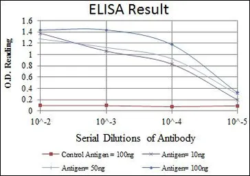 Anti-MEK6 antibody [3H12C8] used in ELISA (ELISA). GTX60396