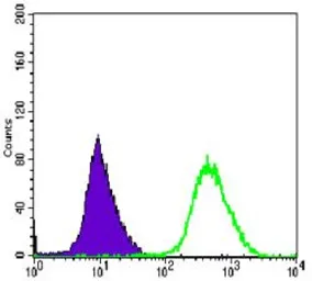 Anti-MEK6 antibody [3H12C8] used in Flow cytometry (FCM). GTX60396