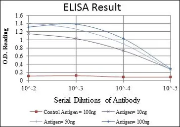 Anti-SEK1 / MKK4 antibody [5H4] used in ELISA (ELISA). GTX60399
