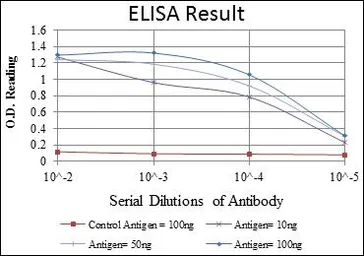 Anti-CRTC3 antibody [5G9] used in ELISA (ELISA). GTX60400