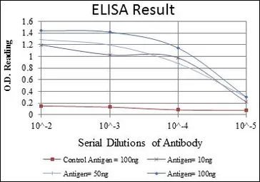 Anti-AMPK alpha 1 antibody [2B7] used in ELISA (ELISA). GTX60403