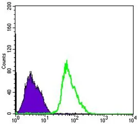 Anti-AMPK alpha 1 antibody [2B7] used in Flow cytometry (FCM). GTX60403