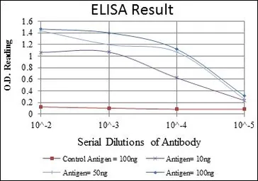 Anti-CD94 antibody [1H1] used in ELISA (ELISA). GTX60405