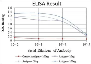 Anti-CDC2 antibody [2G9] used in ELISA (ELISA). GTX60412