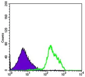 Anti-Beclin 1 antibody [2A4] used in Flow cytometry (FCM). GTX60413
