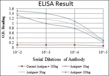Anti-eIF4E antibody [5D11] used in ELISA (ELISA). GTX60420