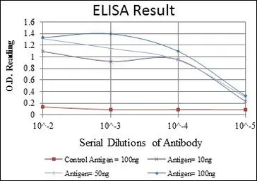 Anti-eEF2 antibody [5B6] used in ELISA (ELISA). GTX60421