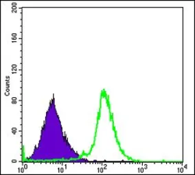 Anti-RBP4 antibody [4C2] used in Flow cytometry (FCM). GTX60427
