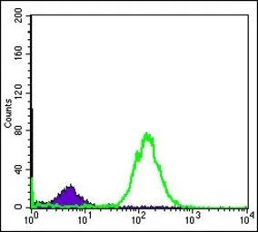 Anti-Bid antibody [3C5] used in Flow cytometry (FCM). GTX60429
