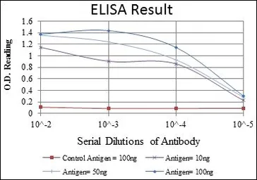 Anti-GRK2 antibody [3F8] used in ELISA (ELISA). GTX60430
