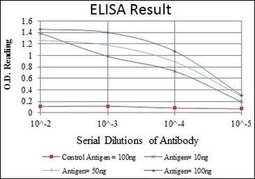 Anti-CREB antibody [5G3] used in ELISA (ELISA). GTX60431
