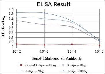 Anti-MTHFR antibody [5D3] used in ELISA (ELISA). GTX60435