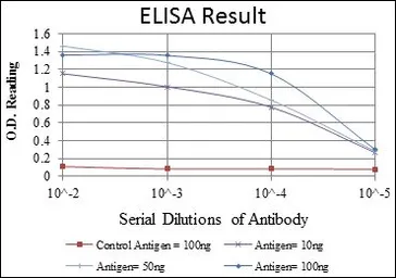 Anti-FUK antibody [6E2] used in ELISA (ELISA). GTX60438