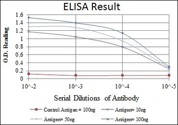 Anti-EphA10 antibody [2E8] used in ELISA (ELISA). GTX60439