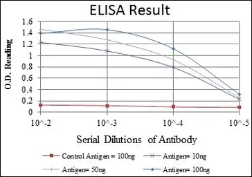 Anti-CDK5 antibody [4E4] used in ELISA (ELISA). GTX60441