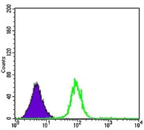 Anti-CDK5 antibody [4E4] used in Flow cytometry (FCM). GTX60441