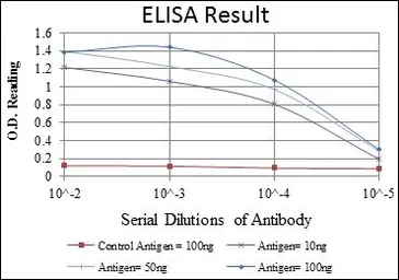 Anti-CDK9 antibody [1B5A7] used in ELISA (ELISA). GTX60442