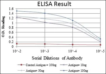 Anti-CDK9 antibody [1B5D10] used in ELISA (ELISA). GTX60443