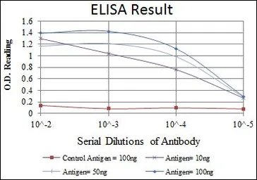Anti-HSP27 antibody [5D7] used in ELISA (ELISA). GTX60444