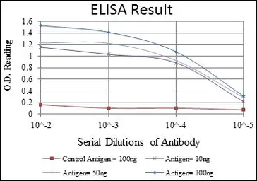 Anti-ABCG2 antibody [1H2] used in ELISA (ELISA). GTX60450