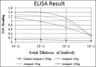 Anti-SMN1 antibody [2F1] used in ELISA (ELISA). GTX60451