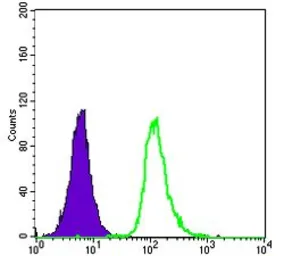 Anti-SMN1 antibody [2F1] used in Flow cytometry (FCM). GTX60451