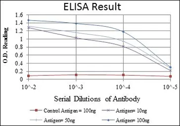 Anti-SMN1 antibody [5H1] used in ELISA (ELISA). GTX60453