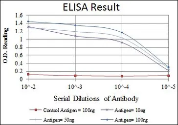 Anti-NFkB p105/p50 antibody [5D10] used in ELISA (ELISA). GTX60455