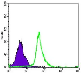 Anti-NFkB p105/p50 antibody [5D10] used in Flow cytometry (FCM). GTX60455
