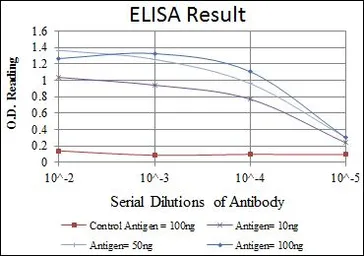 Anti-Hsp90 beta antibody [5G4] used in ELISA (ELISA). GTX60458
