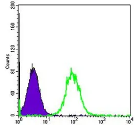 Anti-Hsp90 beta antibody [5G4] used in Flow cytometry (FCM). GTX60458