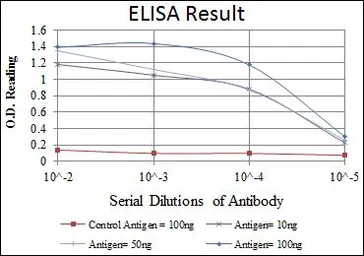 Anti-Hsp90 beta antibody [1D9] used in ELISA (ELISA). GTX60459