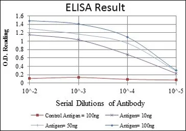 Anti-FYN antibody [2A10] used in ELISA (ELISA). GTX60460