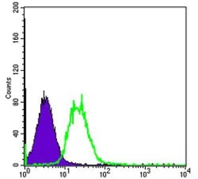 Anti-FYN antibody [2A10] used in Flow cytometry (FCM). GTX60460