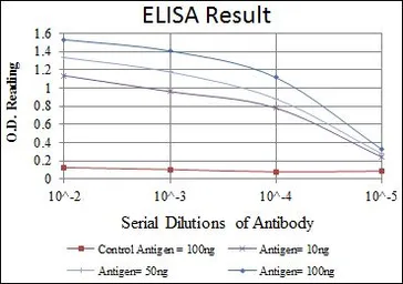 Anti-FYN antibody [2H8] used in ELISA (ELISA). GTX60461