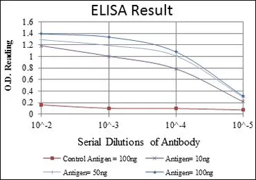 Anti-GluR3 antibody [1D2] used in ELISA (ELISA). GTX60464