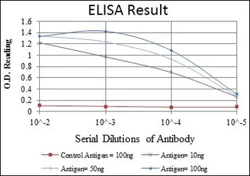 Anti-alpha Smooth Muscle Actin antibody [4A4] used in ELISA (ELISA). GTX60466