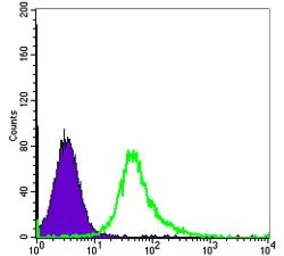 Anti-alpha Smooth Muscle Actin antibody [4A4] used in Flow cytometry (FCM). GTX60466