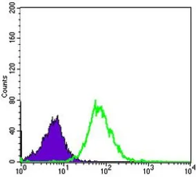 Anti-MMP1 antibody [6A5] used in Flow cytometry (FCM). GTX60467