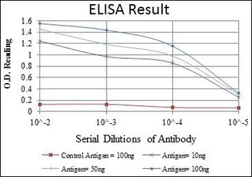 Anti-DLGAP1 antibody [3G4] used in ELISA (ELISA). GTX60469
