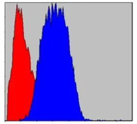 Anti-CD133 antibody [3F10] used in Flow cytometry (FCM). GTX60471