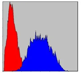 Anti-LIMS1 antibody [5G7] used in Flow cytometry (FCM). GTX60472