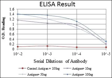 Anti-IRAK4 antibody [2H9] used in ELISA (ELISA). GTX60479